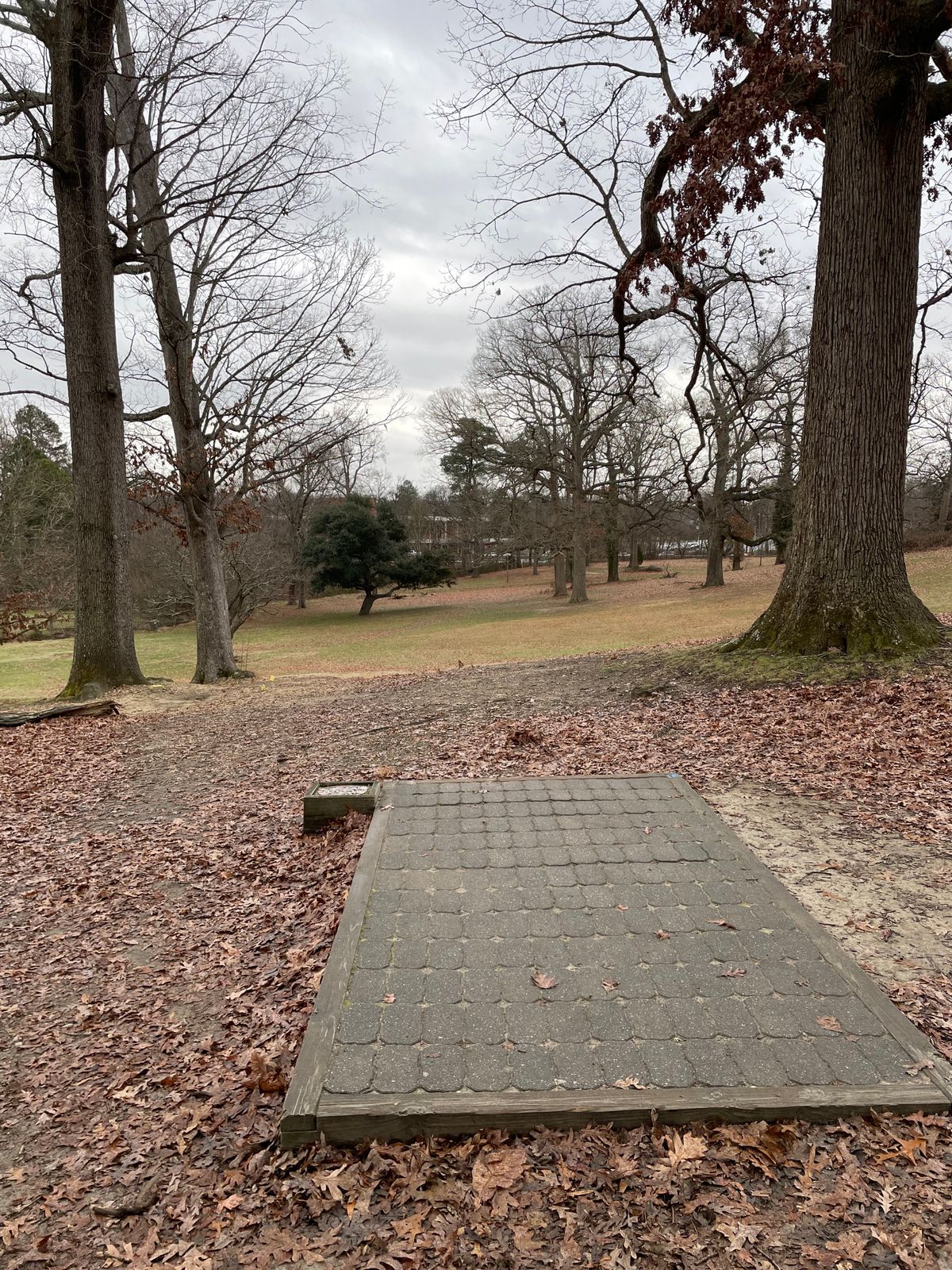 Fairway 4
January 1, 2024