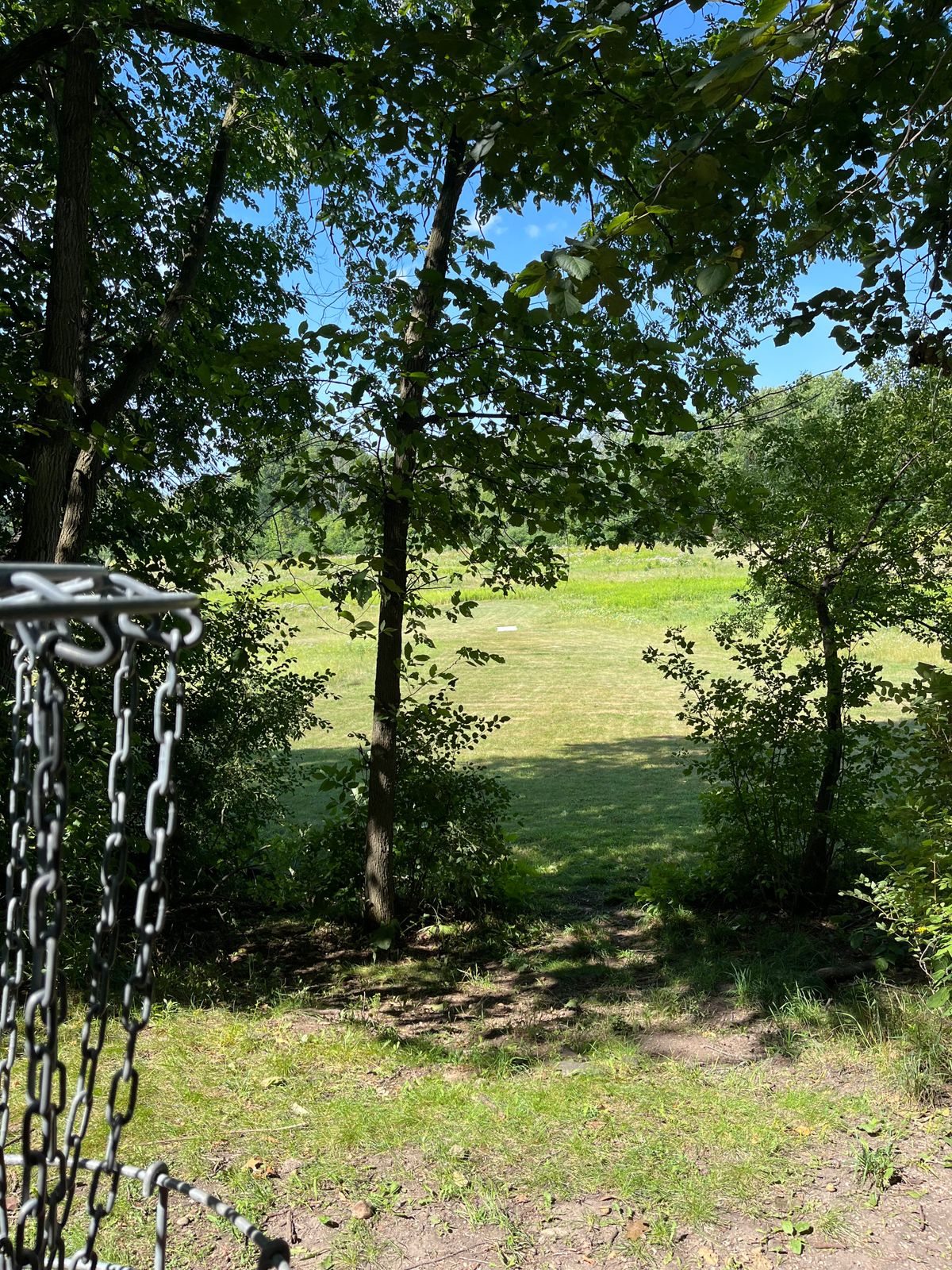 Hole 5