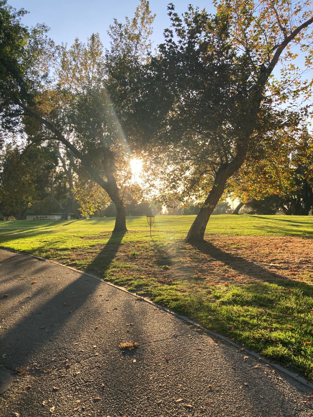 Hole 21  long left position