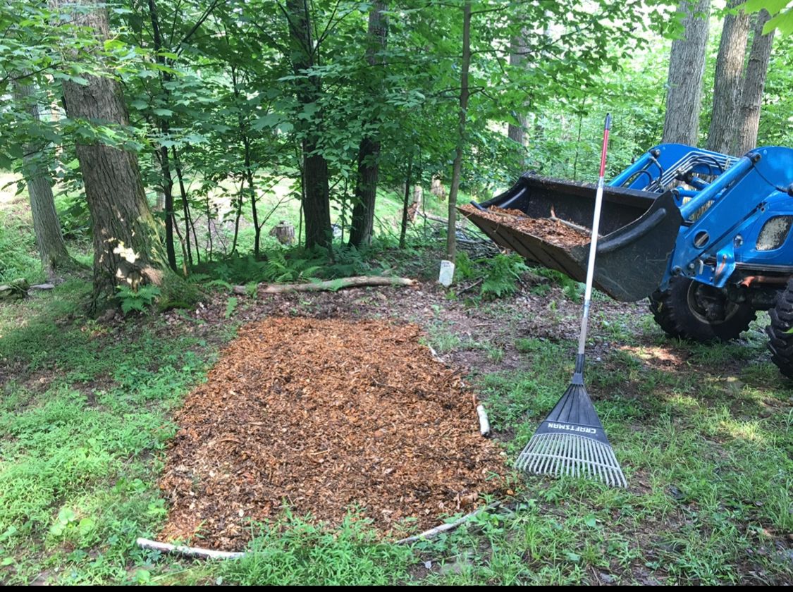 Putting wood chips on the first tee