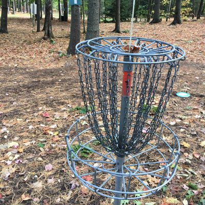 DiscCraft baskets
