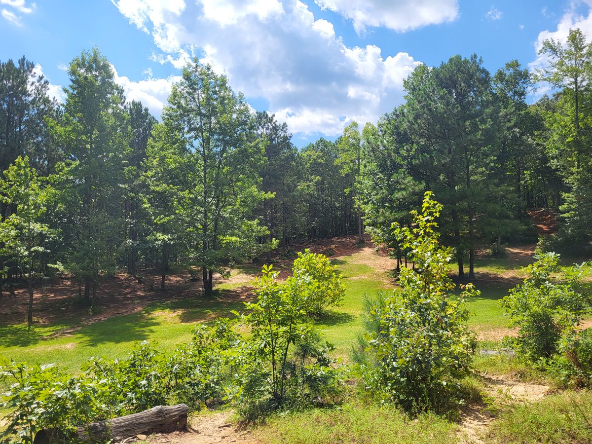 Today, the humidity and heat were brutal.  But it was gorgeous out here! Aug 2023