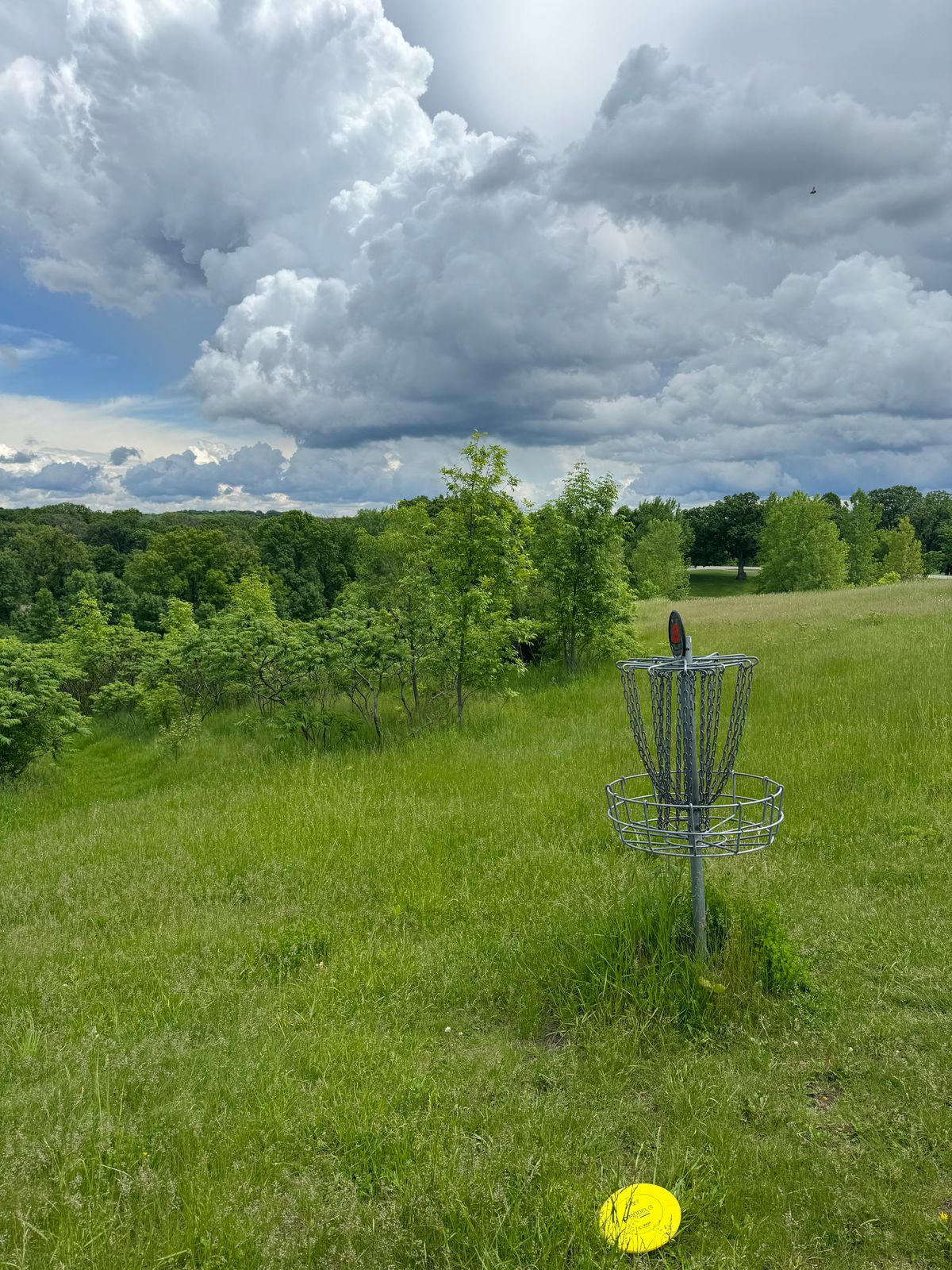 Hole 8 green showing off the view