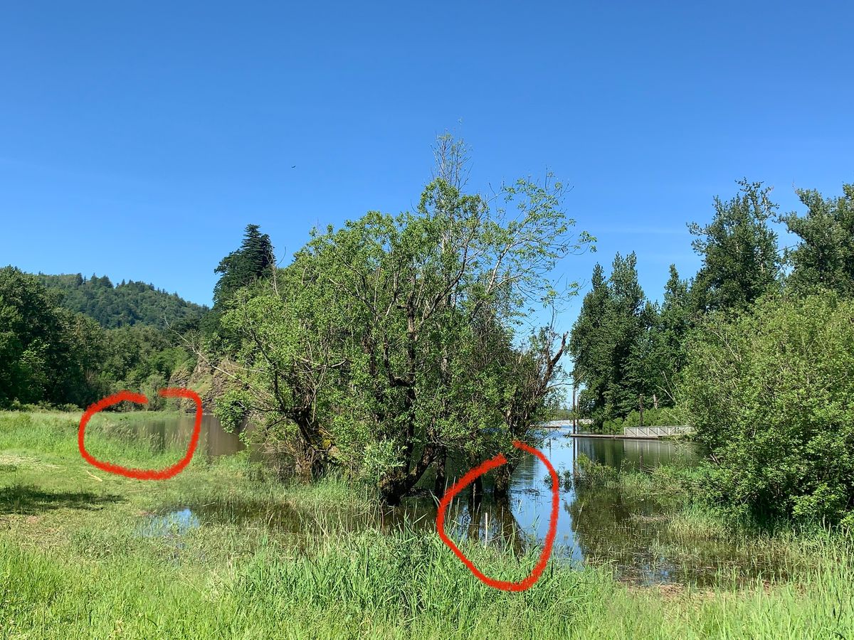 Additional basket locations for 6 - flooded