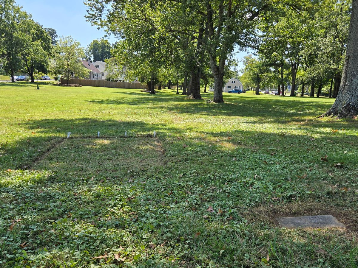 Hole #7 Tee