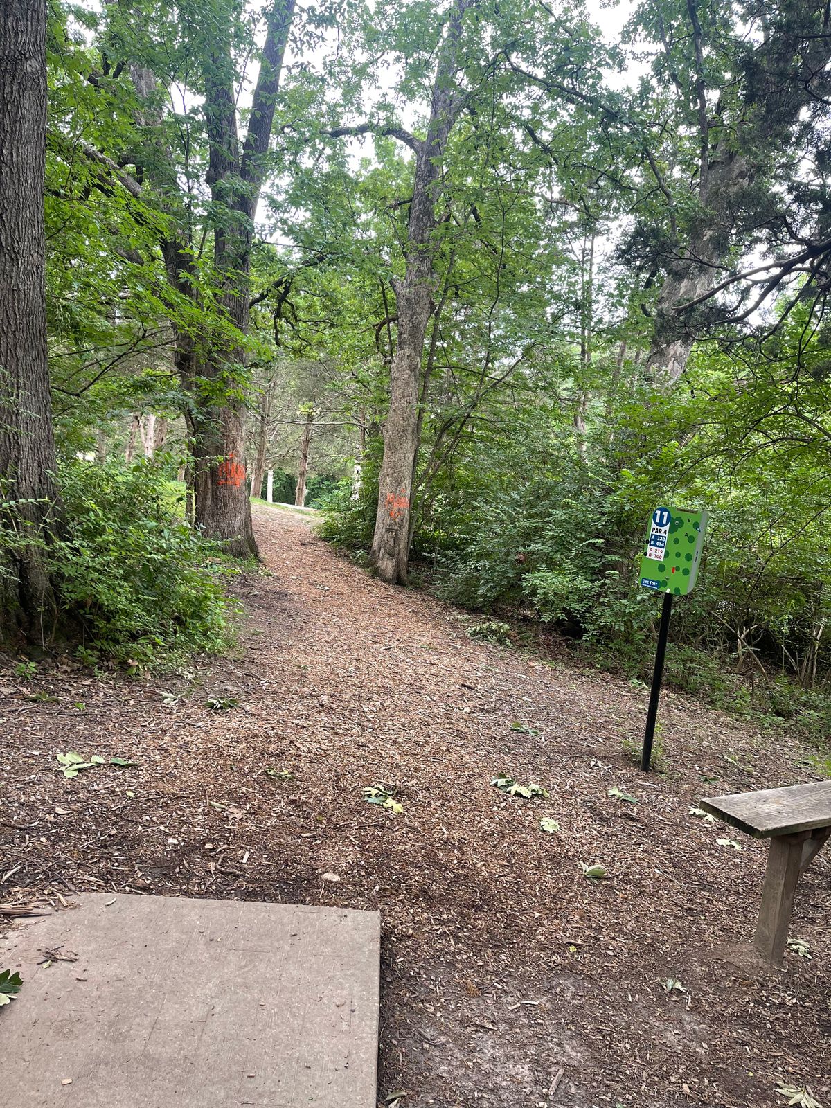 Hole 11 from back. Double Mando