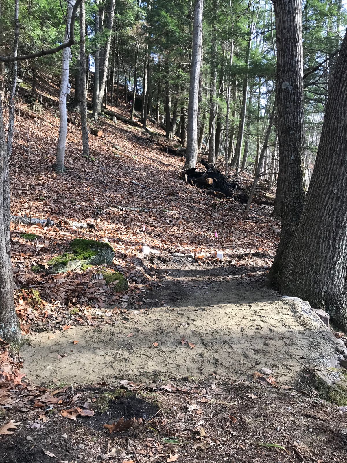 Hole 10’s tee pad.