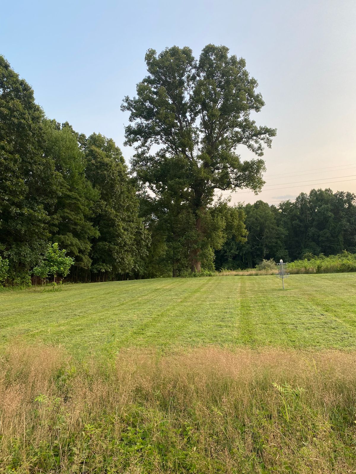 Hole 14 green