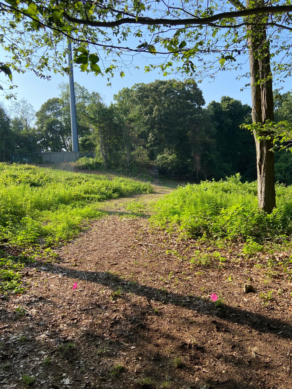New hole 7