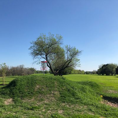 First half of hole in tree line, with whole left side OB. Small gap to basket.