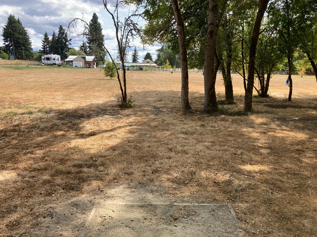 Tee 9