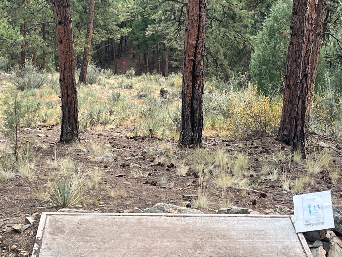 Hole 13 - It’s almost unfair that most holes have perfect view of the basket.