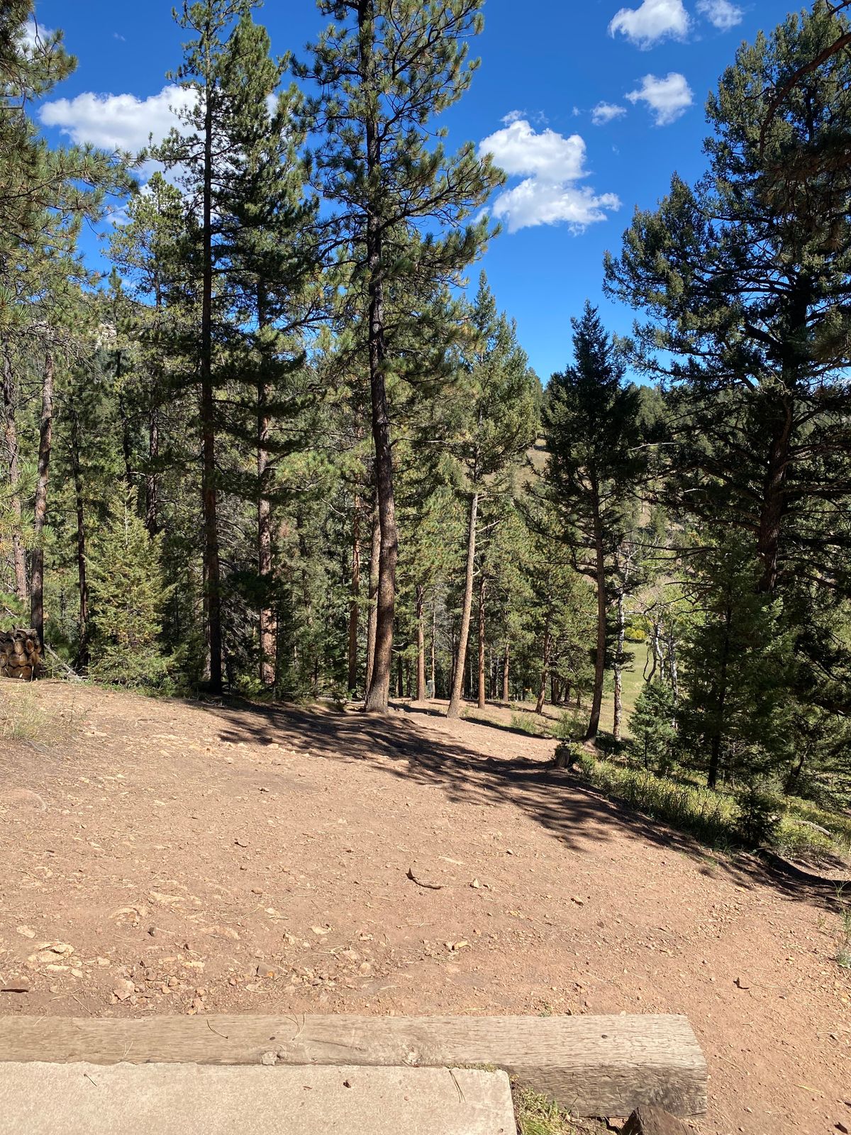 Hole 11