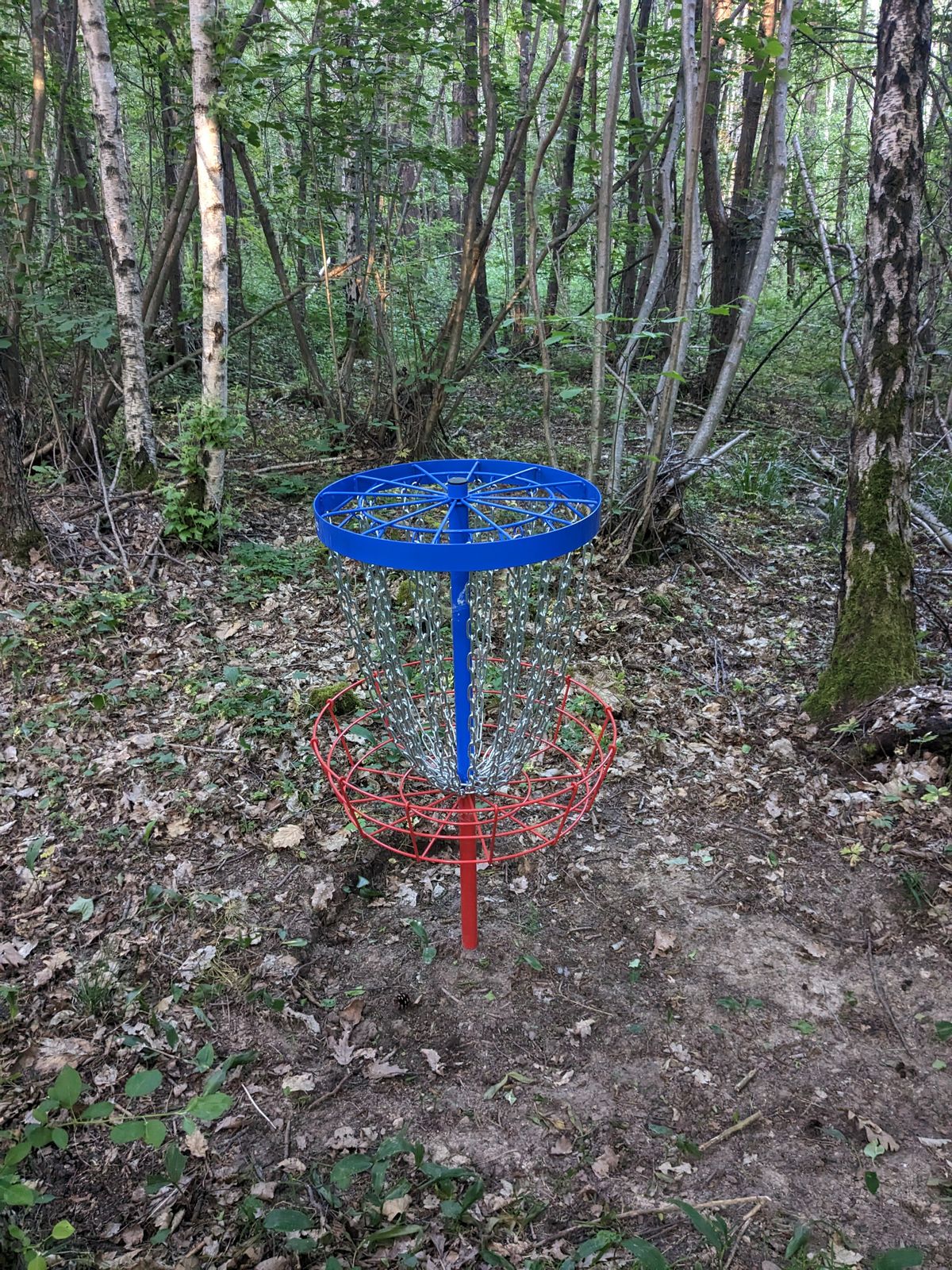 Euro Disc: DLC Basket