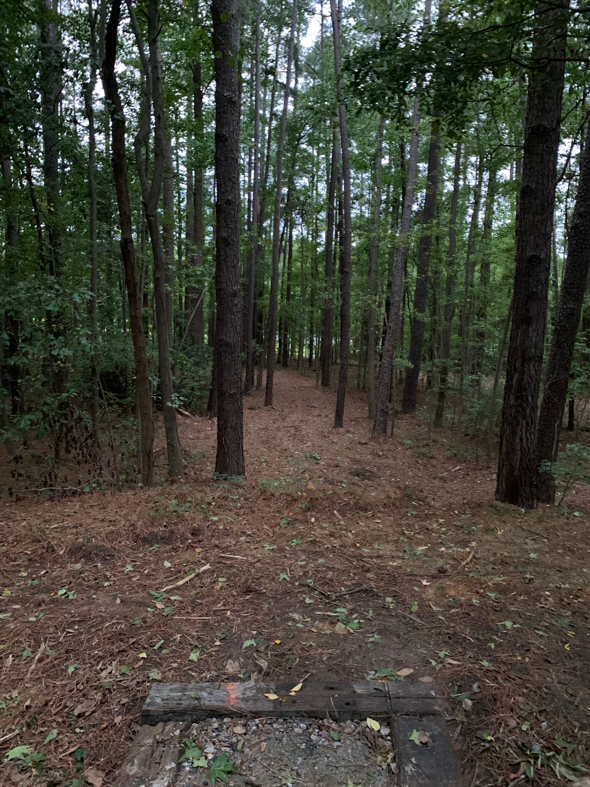 Hole 8