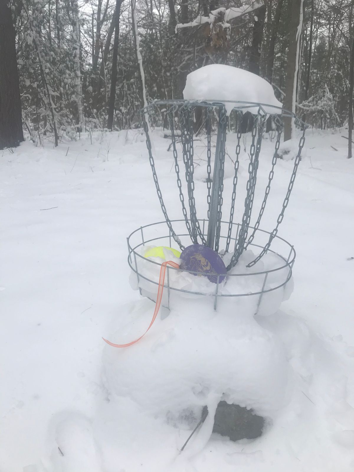 Beautiful calm day for some winter golf. Ribbons are essential.