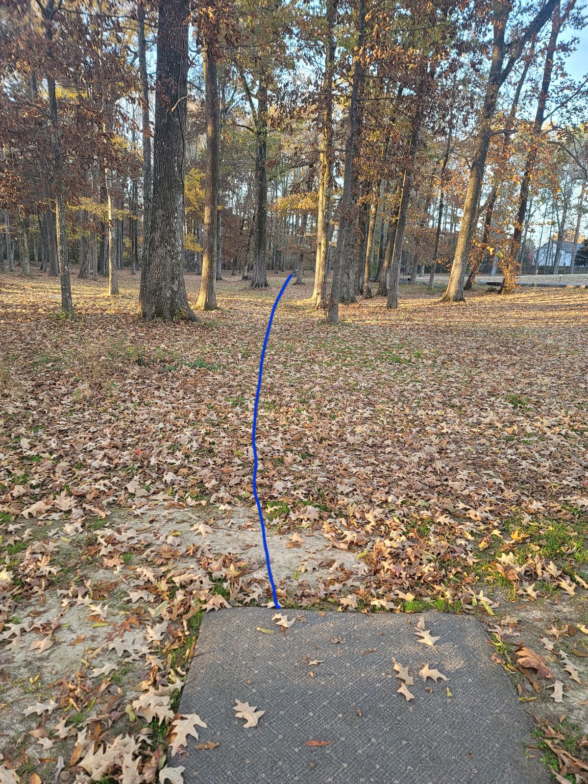 Hole 2
Long 269