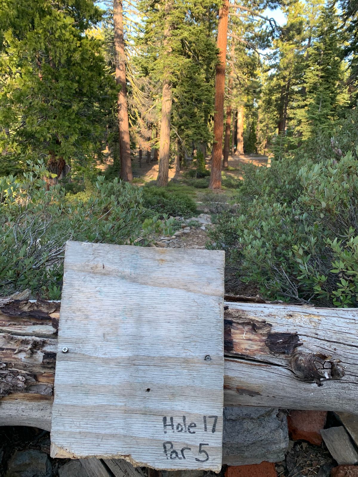 #17 tees box par 5 down hill. 
We couldn’t locate the basket (tree)