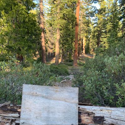 #17 tees box par 5 down hill. 
We couldn’t locate the basket (tree)
