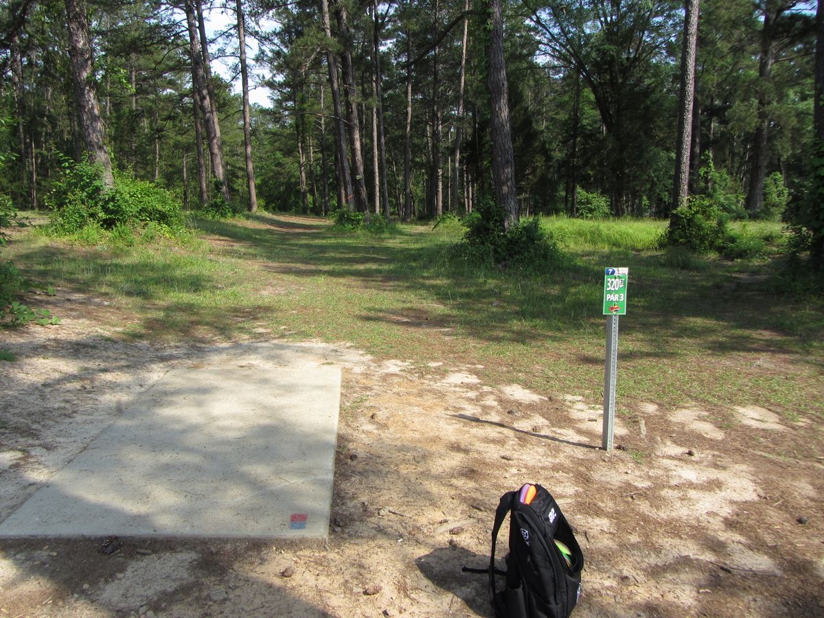 Hole 7