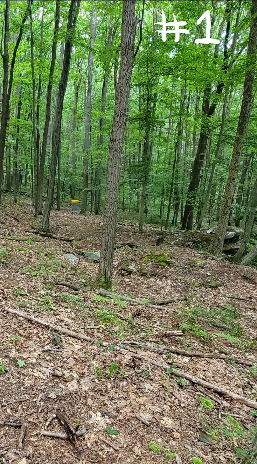 Hole 1 view from the middle of the fairway.