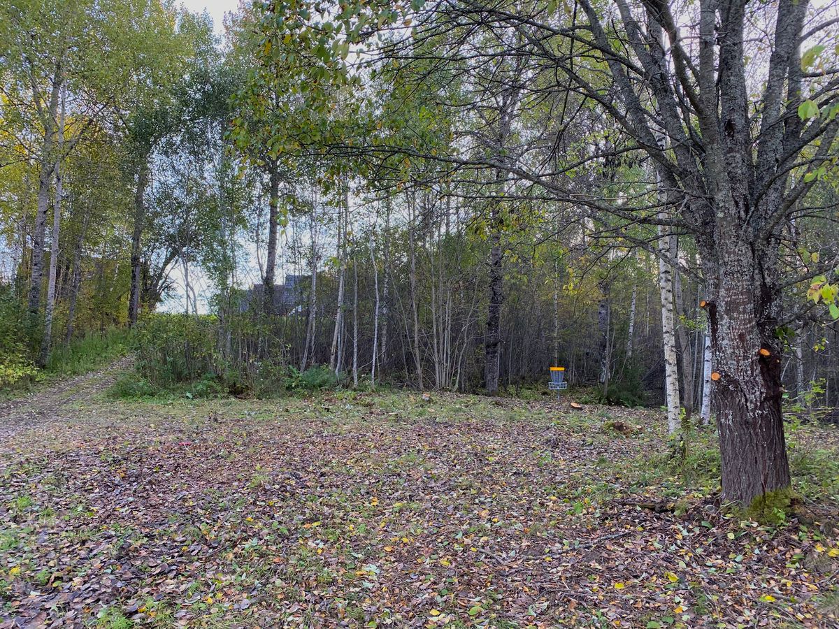 Hål 15