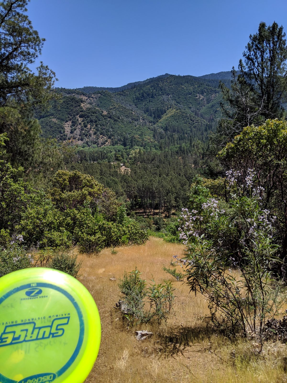 Top of the world tee pad