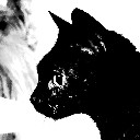 User avatar image