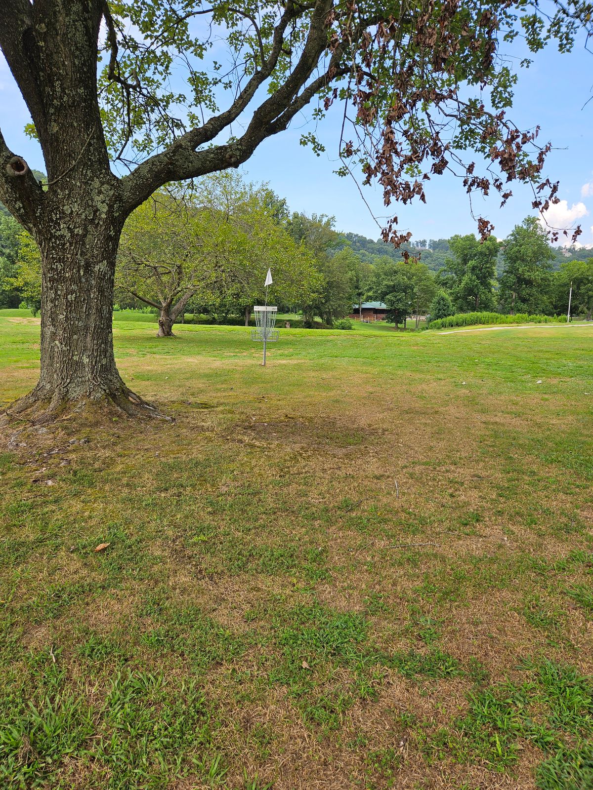 Hole 1 Long Basket. Looking towards Teepads.