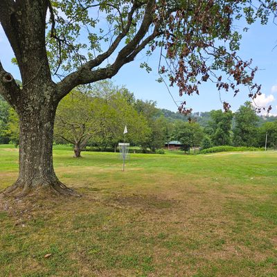 Hole 1 Long Basket. Looking towards Teepads.