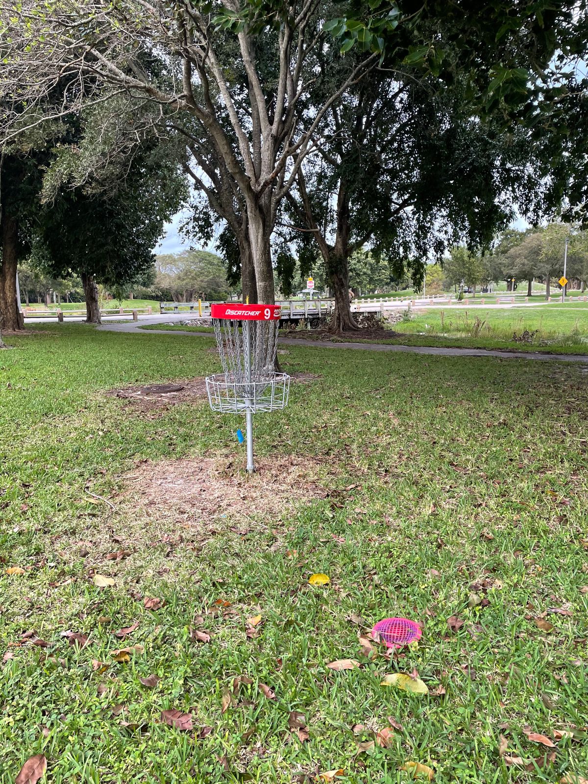 Hole 9 Basket