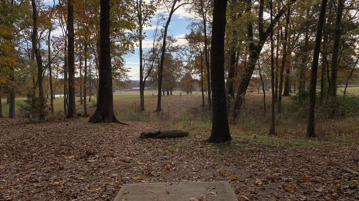 Hole 8