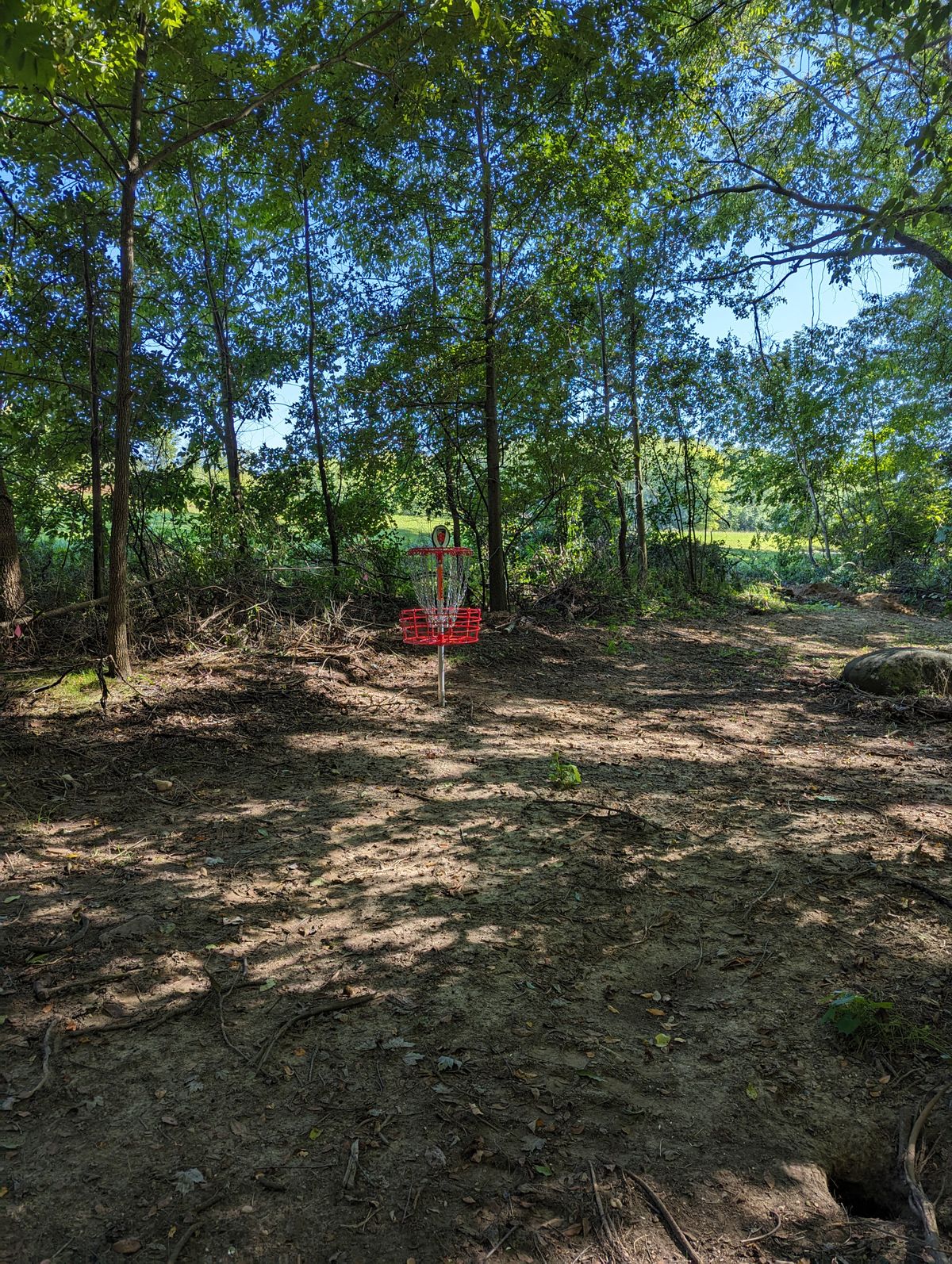 Hole 6 Basket