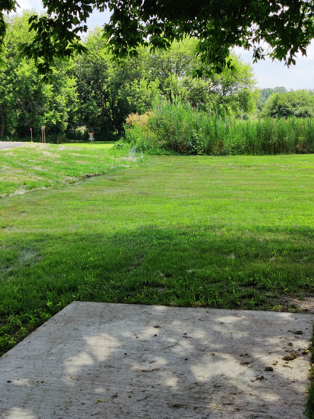 Hole 3 - 233 ft - Par 3