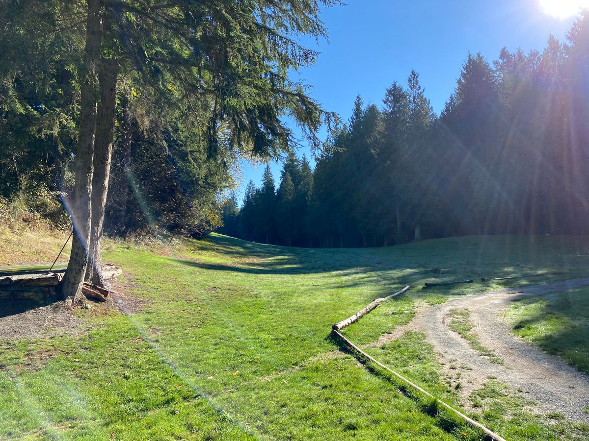 Fairway of hole 4. Tee box to the left next to the tree.