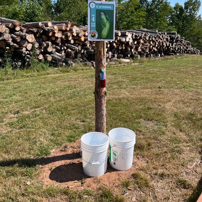 Hole 1. All the tees have recycling and garbage as well as bug spray!