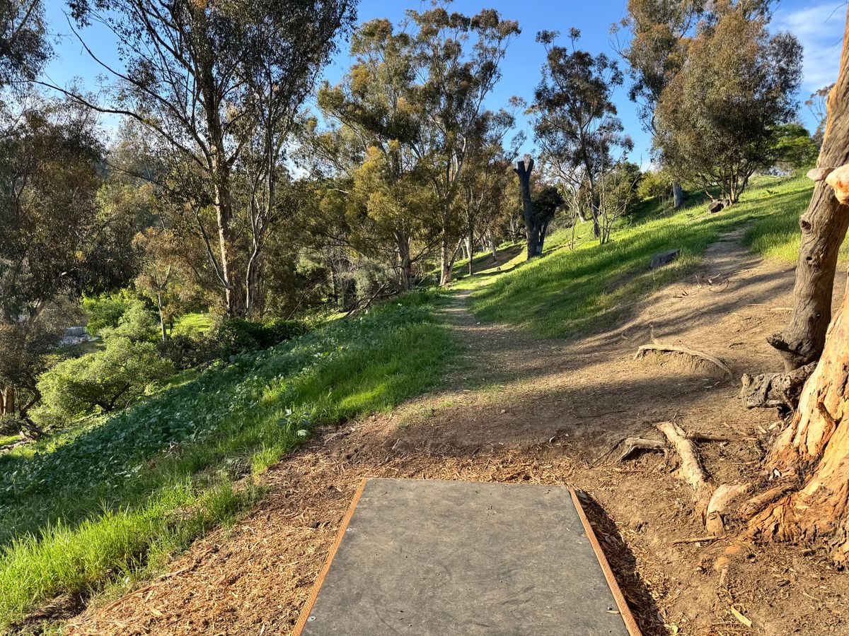 2 tee box