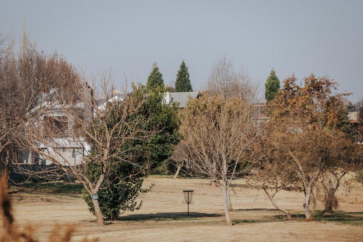 Surrounded by a gang of trees 