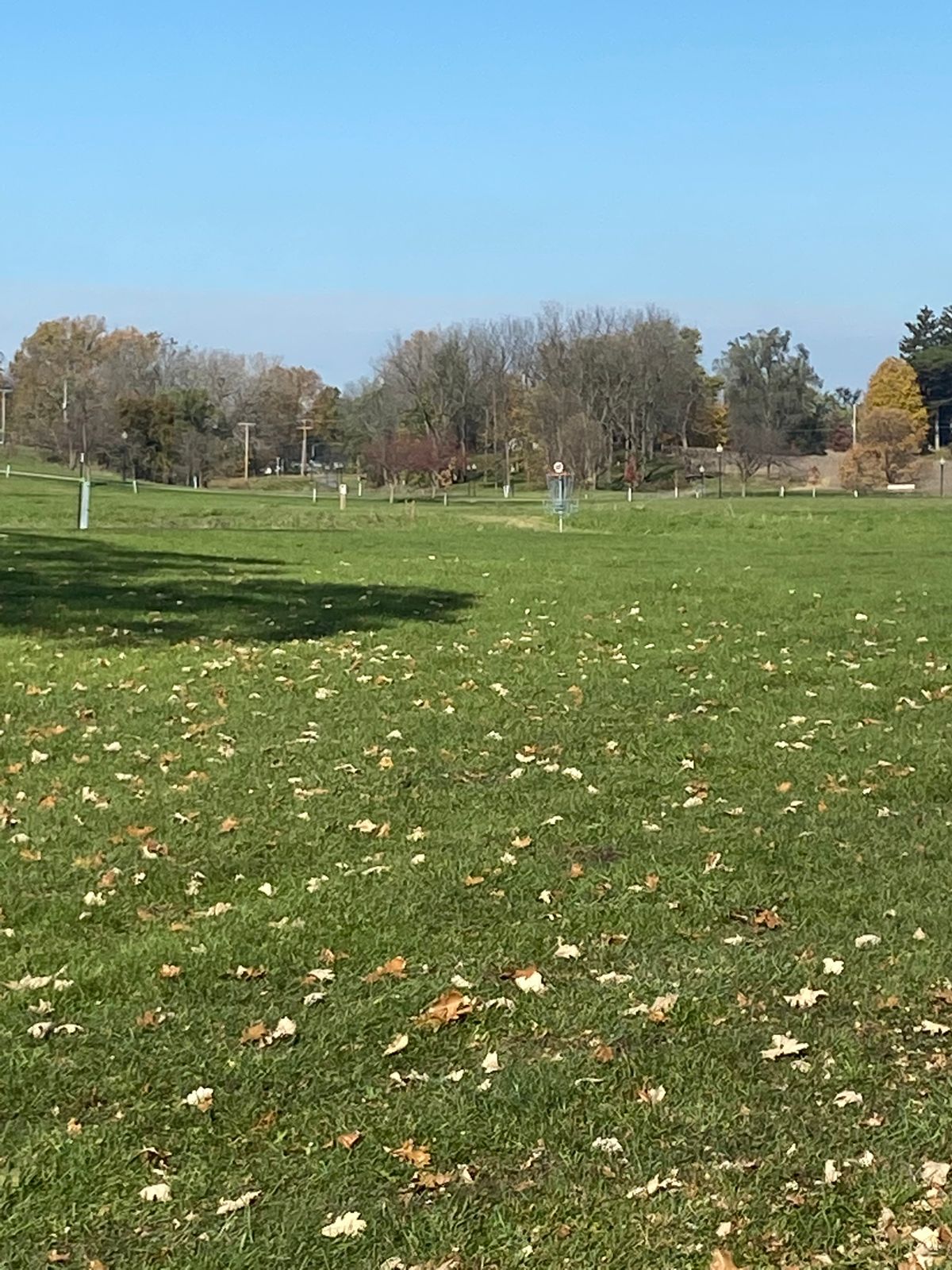 17 basket in distance