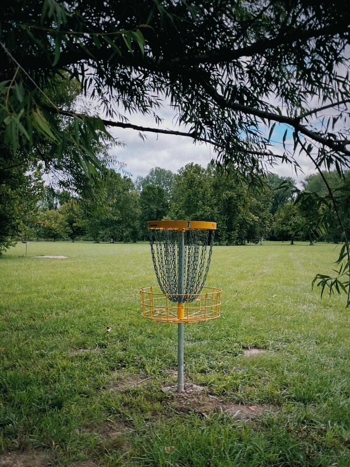 Baskets are all in great condition and are pretty visible being yellow.