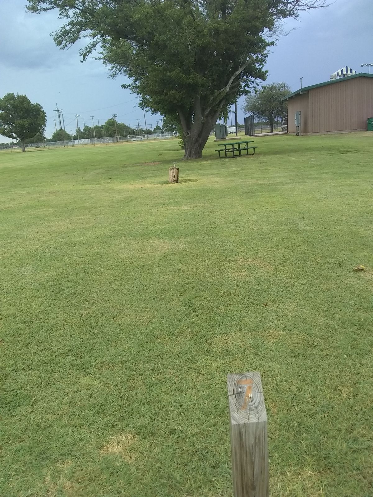 Hole 7 Tee