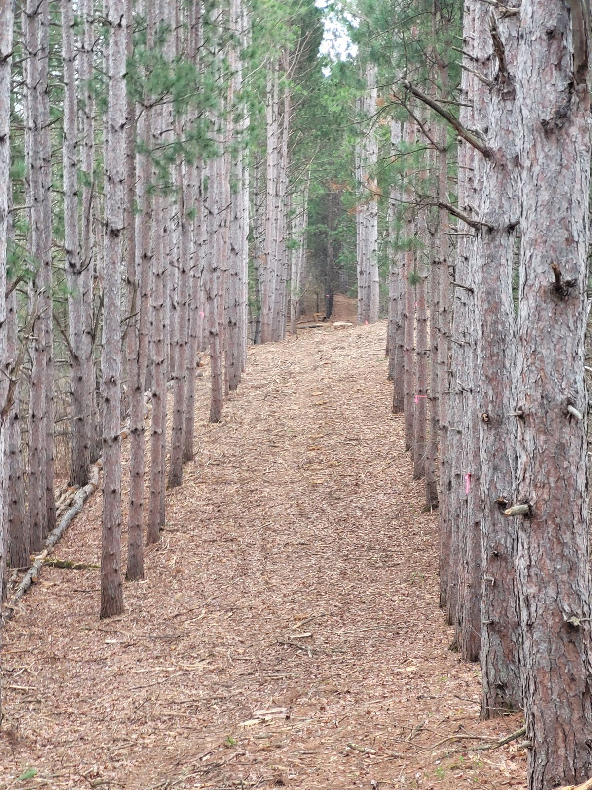 Hole 7