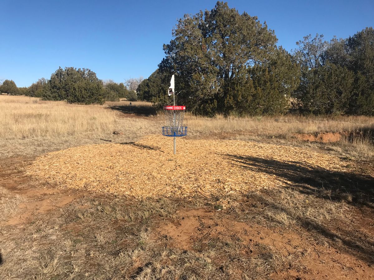 Wood chips surround each hole location.