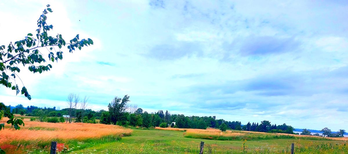 Fairway 7.