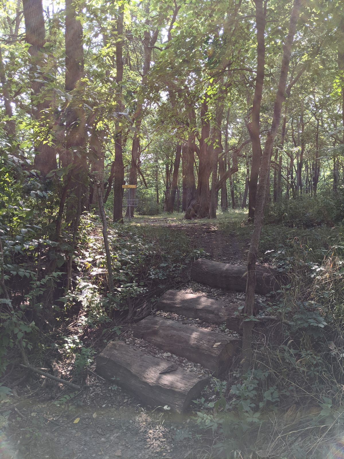 Nice steps when crossing the stream