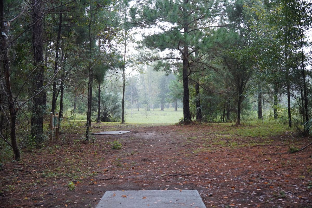 Hole 8 long tee (uphill par 3)