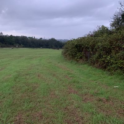 Tee of hole 7, facing basket