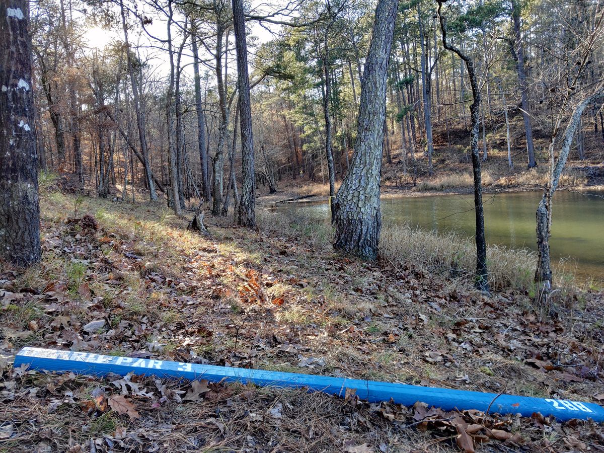 Hole 11 Pro Tee