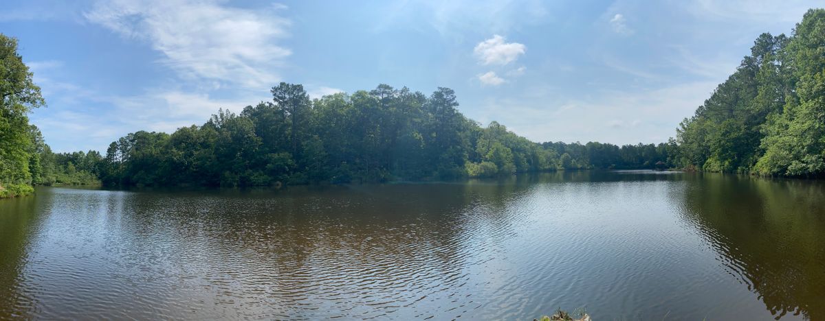 View behind tee box 8
