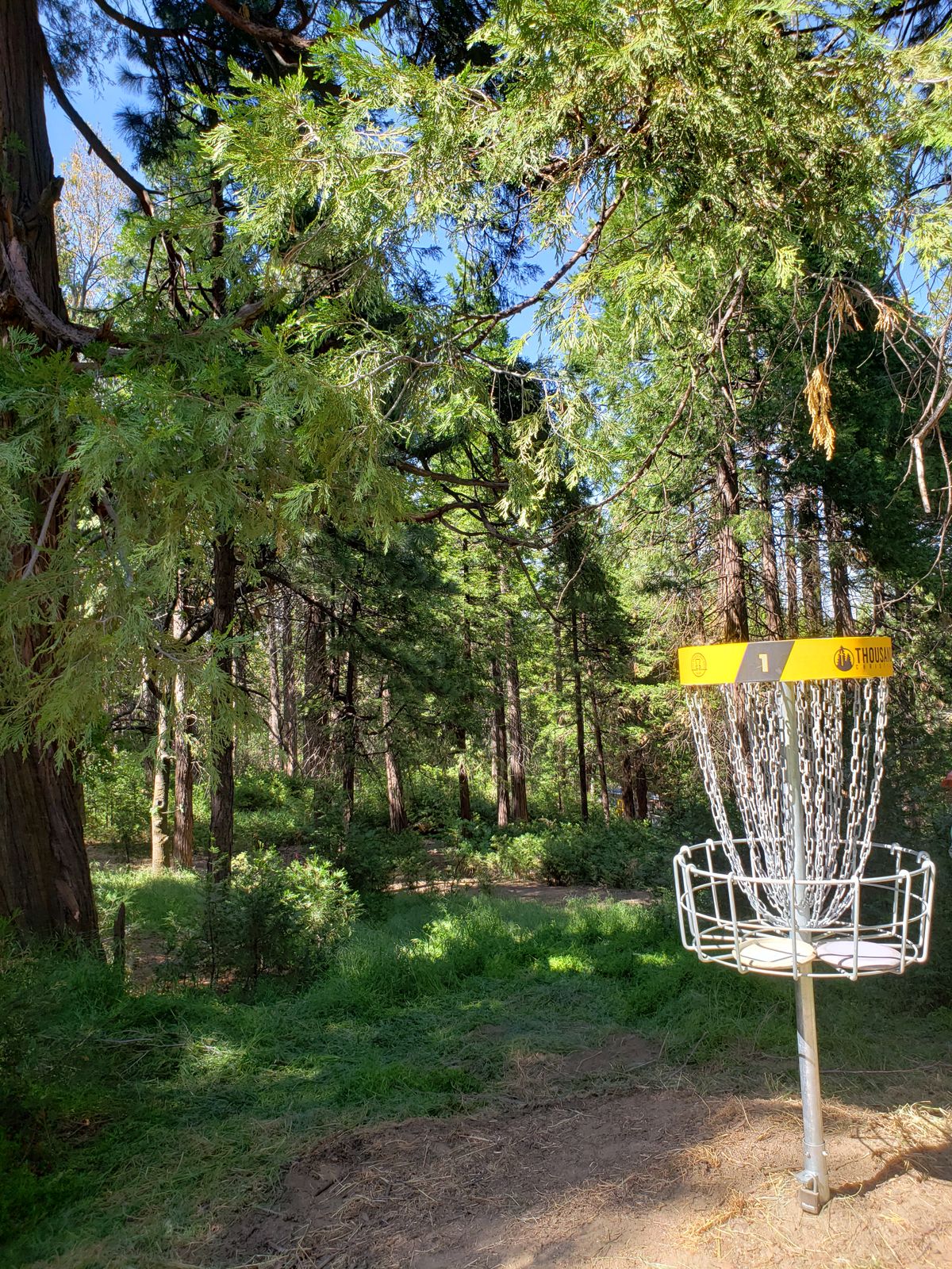 Thousand Pines Upper Course